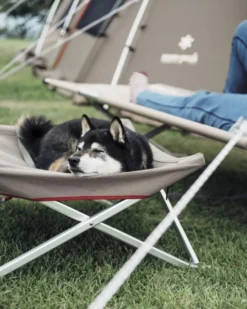 Dog Cot
