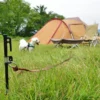 Dog Lead Anchor 50