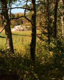 Land Nest Shelter in Ivory