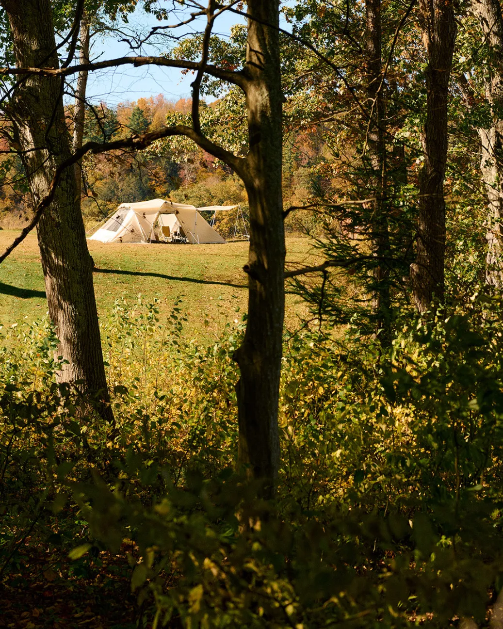 Land Nest Shelter in Ivory