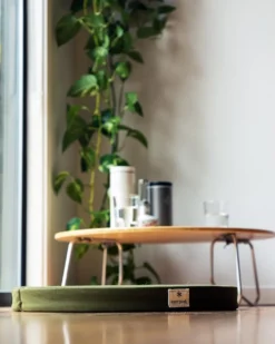 Lounge Cushion